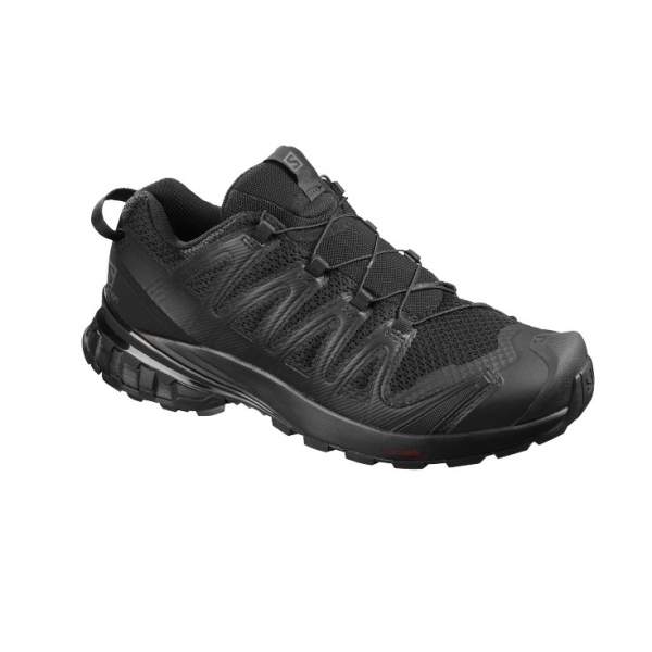 Salomon XA PRO 3D V8 GTX, Black-Black