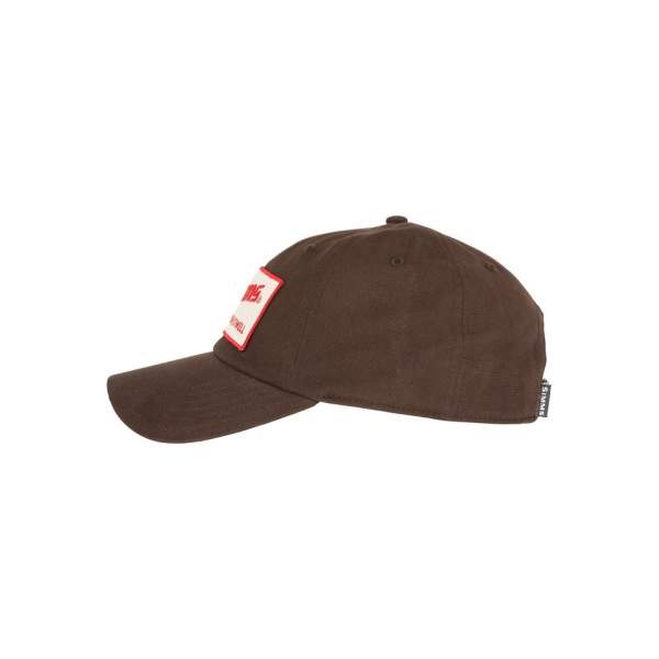 Simms Fish It Well Cap, Hickory