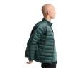 Arcteryx CERIUM JACKET MEN'S, Boxcar