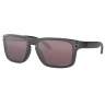 Oakley HOLBROOK STEEL, PRIZM DAILY POLARIZED