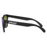 Oakley FROGSKINS MATTE BLACK, PRIZM VIOLET